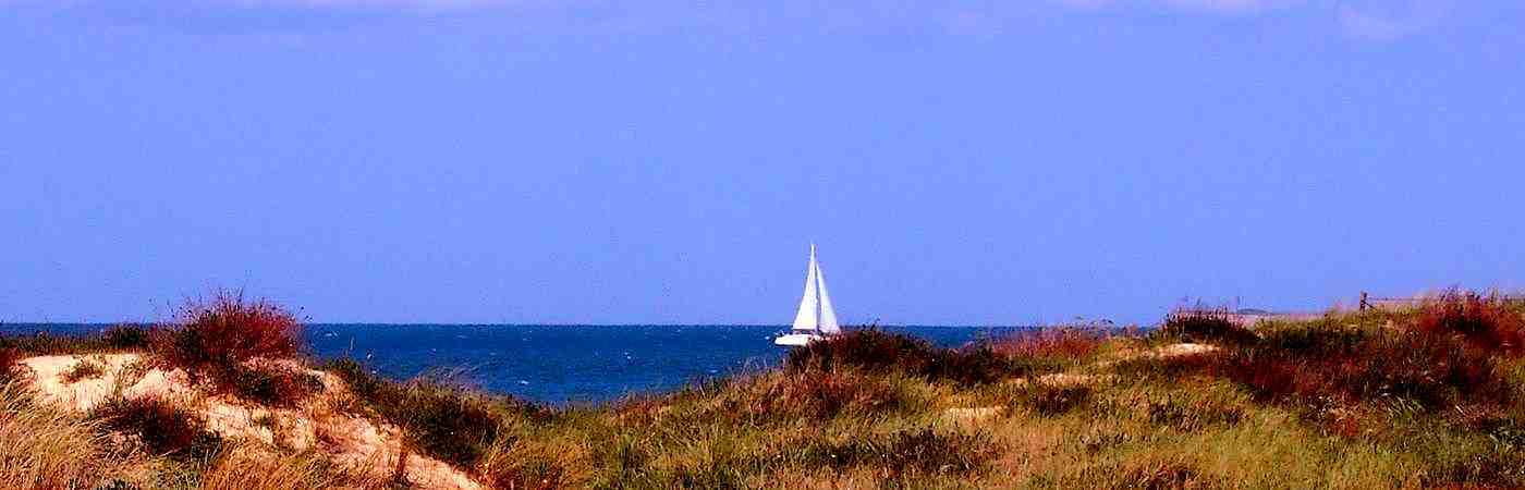 Dunes et horizons de l’île de Ré