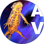 Photo de profil Google de Antoine Vril