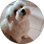 Photo de profil Google de Nicole Garet